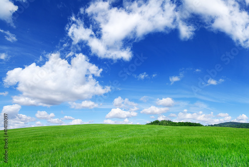 Idyll  view of green fields and blue sky with white clouds