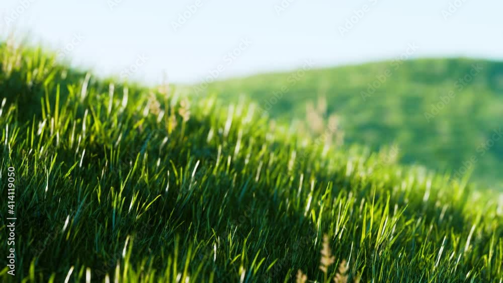 Soft defocused spring background with a lush green grass