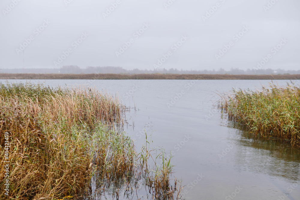 Overgrown river with a place to go by boat. how to place a boat in the water