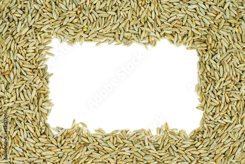 Spelt grains isolated on white background photo