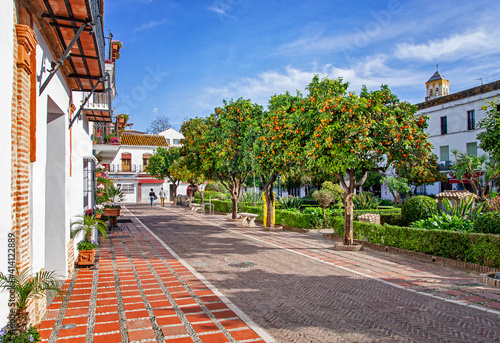 View of beautiful orange trees in Marbella, blue sky in the background. Orange trees in the city. Plaza de los Naranjos, Marbella, Spain.