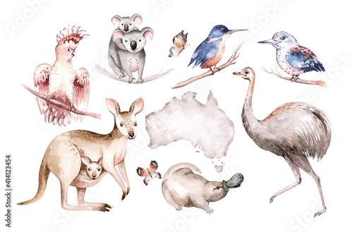 Photography Watercolor australian cartoon kangaroo emu, koala and flying fox,