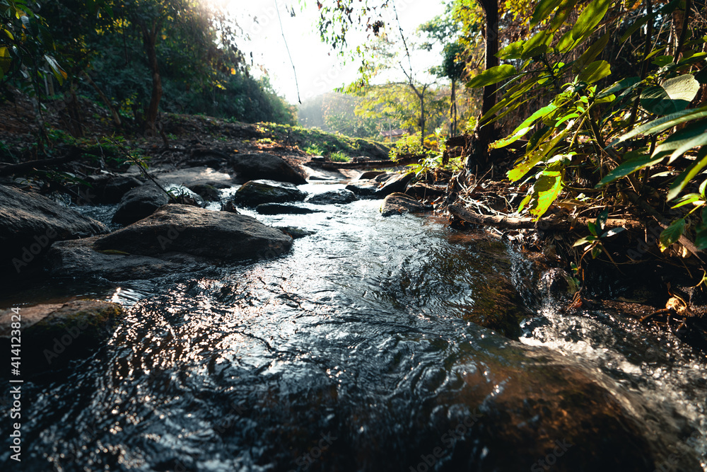 Fototapeta premium A stream of clear water in the tropical evening