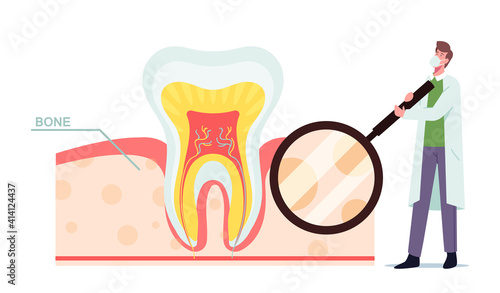 Tiny Dentist Male Doctor Character in Mask and White Robe with Huge Tooth Magnifier Look on Cross Section View