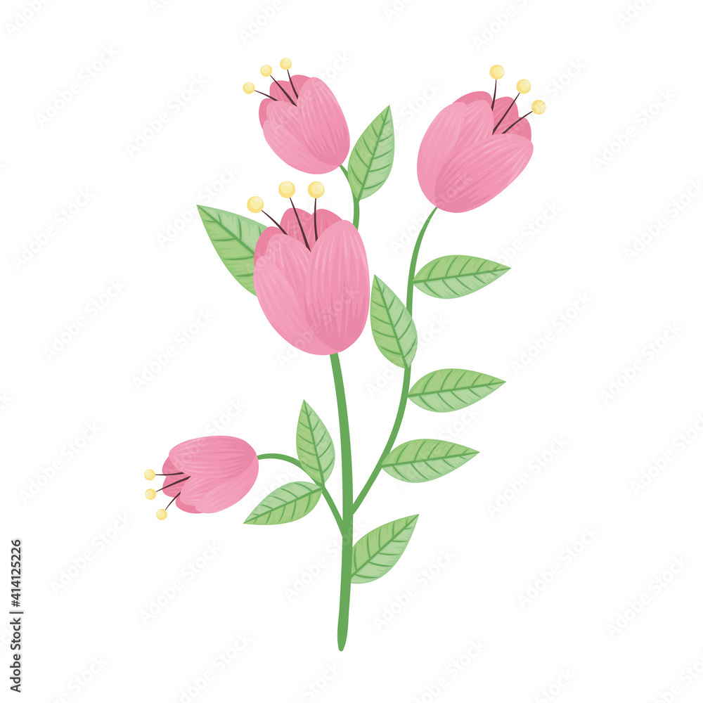 pink roses flowers and leafs spring icon vector illustration design
