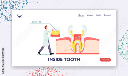 Healthy Teeth Anatomy and Inside Structure Landing Page Template. Tiny Dentist Male Doctor Character Put Part of Dentin