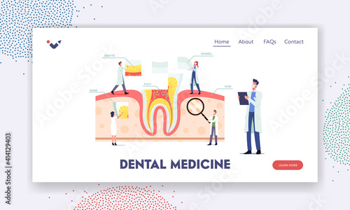Teeth Anatomy and Structure Landing Page Template. Tiny Dentists Characters at Huge Tooth Infographics with Gum, Bone