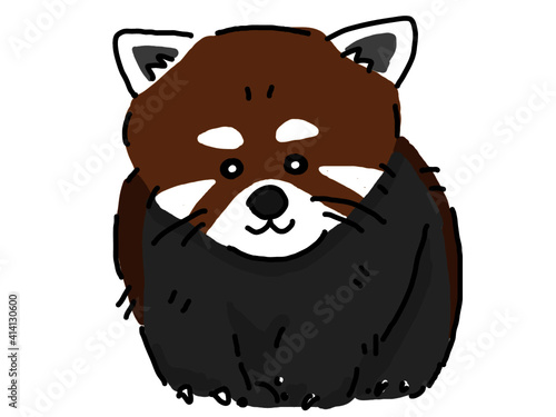 エサをほしがっている品のいいレッサーパンダ