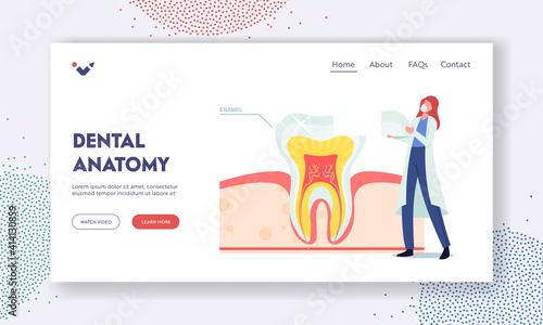 Dental Anatomy Landing Page Template. Tiny Dentist Female Doctor Character in Robe Put Part of Enamel on Huge Tooth