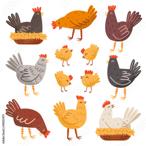 Hen, bird, cock, chicken set. Domestic animals. Farm, countryside life. Eco food production. Illustration, design element.