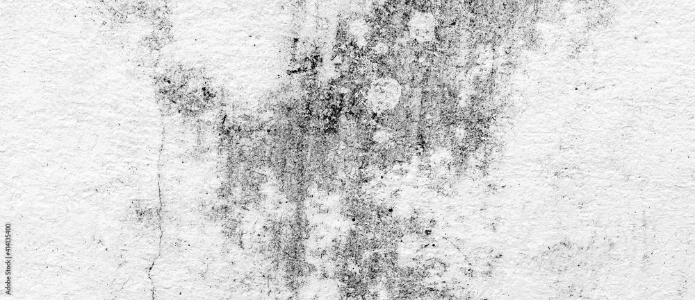 Fototapeta premium Textured of concrete surface wall and white background