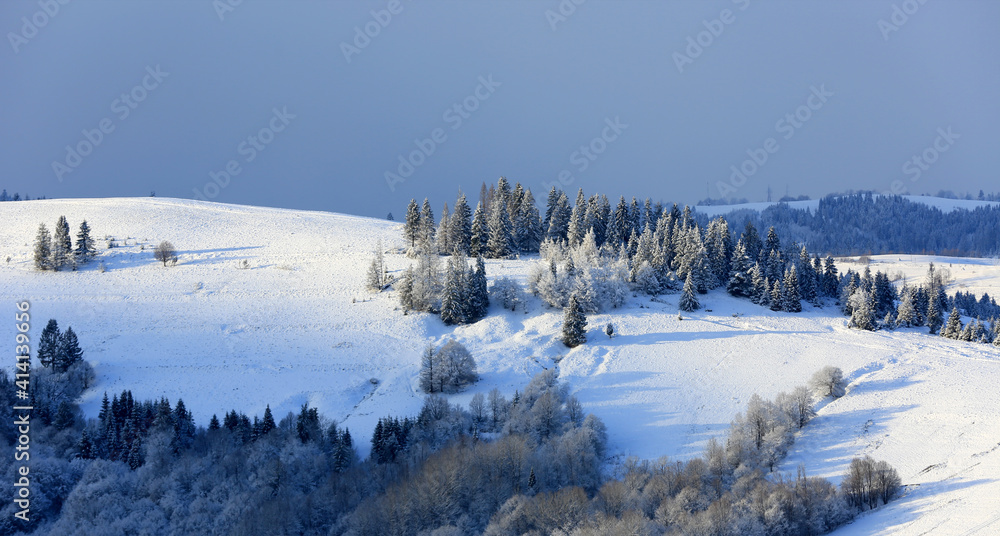 winter in Carpathians winter in Carpathians