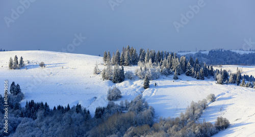 winter in Carpathians © Pavlo Klymenko