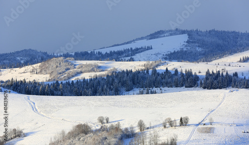 mountain meadow in winter Carpathians