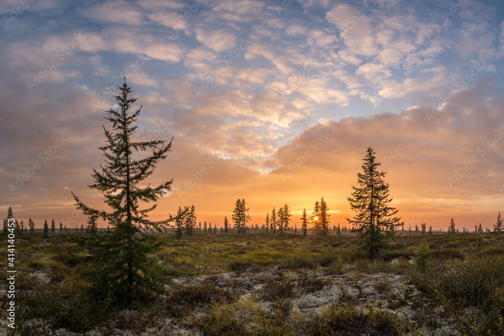 Summer sunset in forest-tundra