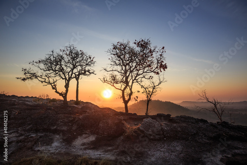 The morning light on the top of a hill filled with rocks and trees.