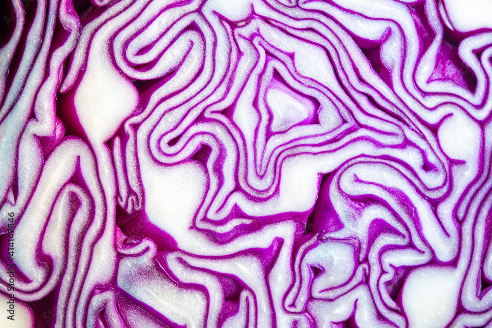 Background of the blue cabbage in the cut, macro photography. Close up, top view. Texture raw purple cabbage Background of the blue cabbage in the cut, macro photography. Close up, top view. Texture raw purple cabbage