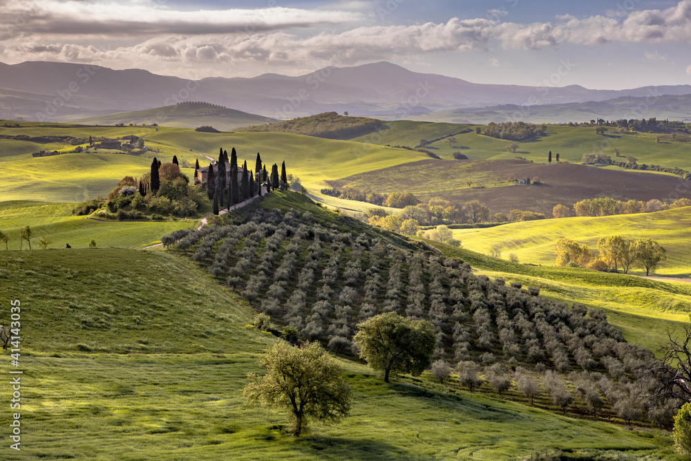 Fototapeta premium Tuscan countryside San Quirico
