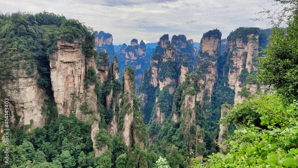 The sandstone pillars. Mountains in the national park Wulingyuan. Trees on rocks. Zhangjiajie. UNESCO World Heritage Site. China. Asia