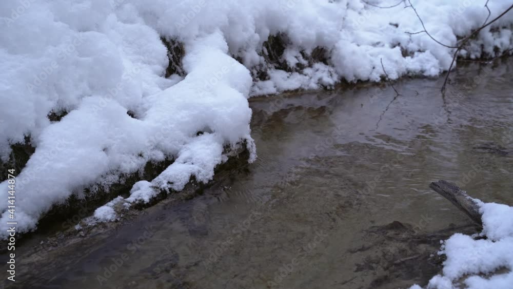 Stream at winter. Lot of snow. Tree reflections in water. Blue Springs of Saula. Saula Siniallikad. Stream at winter. Lot of snow. Tree reflections in water. Blue Springs of Saula. Saula Siniallikad.
