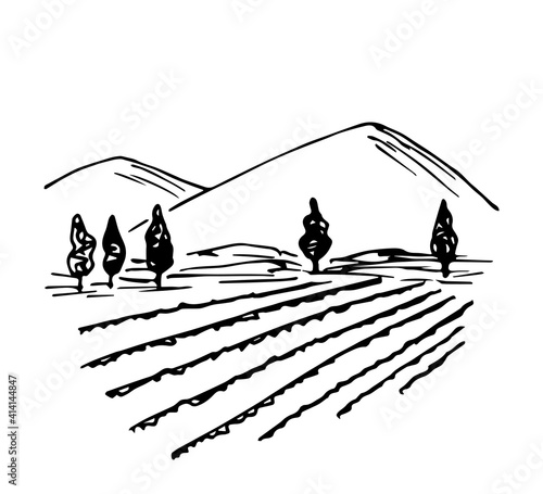 Rural landscape, vineyard, farm field, trees, bushes, mountains on the horizon. Simple hand-drawn vector drawing in black outline. Agricultural plants, plantation, growing organic products, vegetables