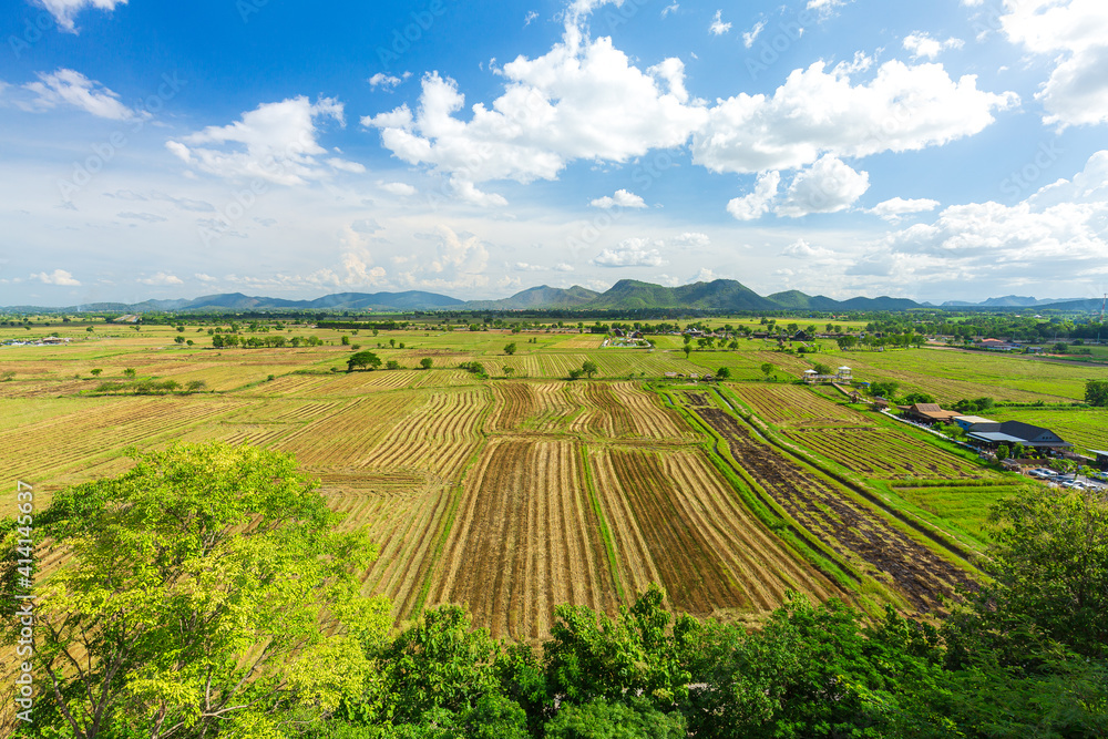 drought season, dry old rice field with dirt in summer day, thailand. young rice field with mountain background and beautiful blue sky. View from top of the mountain dried rice field
