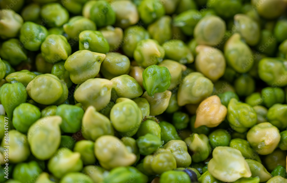close up of green chickpea, Garbanzo bean, Indian pea, Bengal gram & Chole close up of green chickpea, Garbanzo bean, Indian pea, Bengal gram & Chole