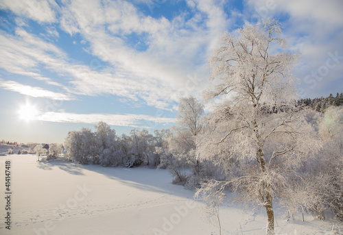 Beautiful  landscape with frozen trees  in winter time 