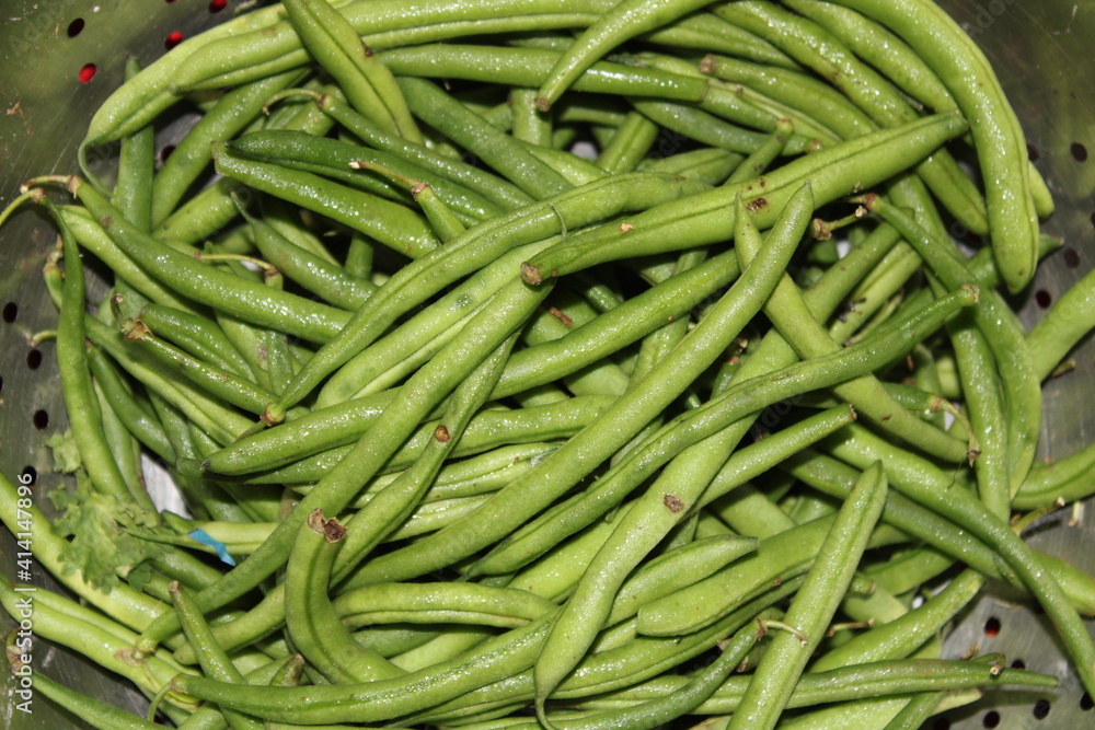 green bim vegetable in the market with bim background. green bim vegetable in the market with bim background.