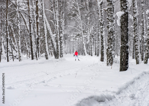 Skier in a snow-covered forest in winter