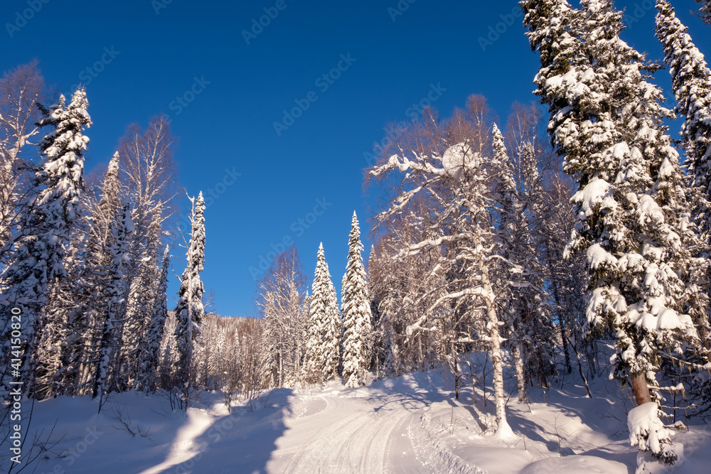 Siberian view, winter morning Siberian view, winter morning