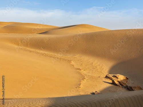 Dunes of Thar Desert  Rajasthan  India