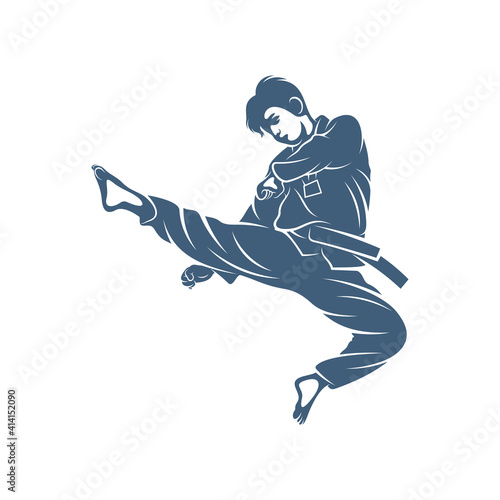 Taekwondo design vector illustration, Creative Taekwondo logo design concepts template, icon symbol