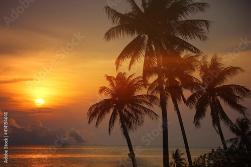 coconut trees with sun set or sun rise sea view  multicolor beauty sky © apithana