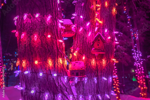 Glowing Christmas lights and bird houses around a tree