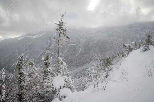 Obraz na plátně Frozen trees on Mount Willard, NH