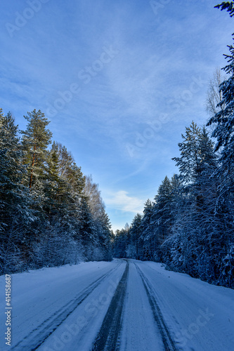 beautiful road in the winter forest
