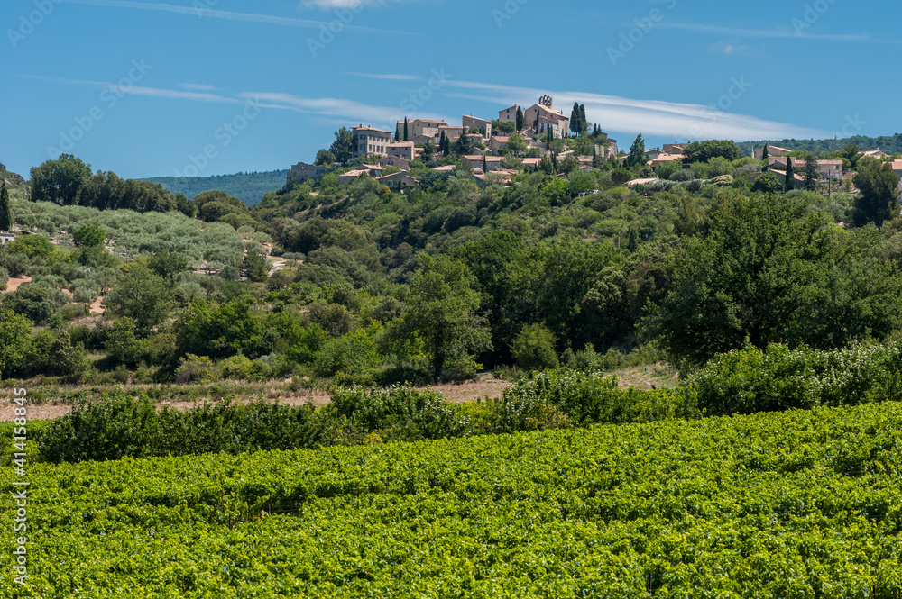Weinberge in der Provence