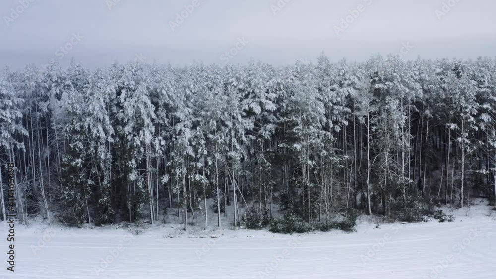 Aerial view. Drone flying over field and snow on the edge of the forest. The camera flies along the forest, view over the forest during winter snowfall Aerial view. Drone flying over field and snow on the edge of the forest. The camera flies along the forest, view over the forest during winter snowfall