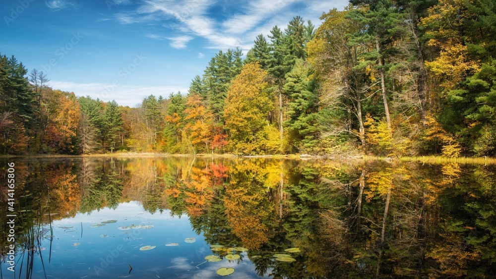 autumn autumn