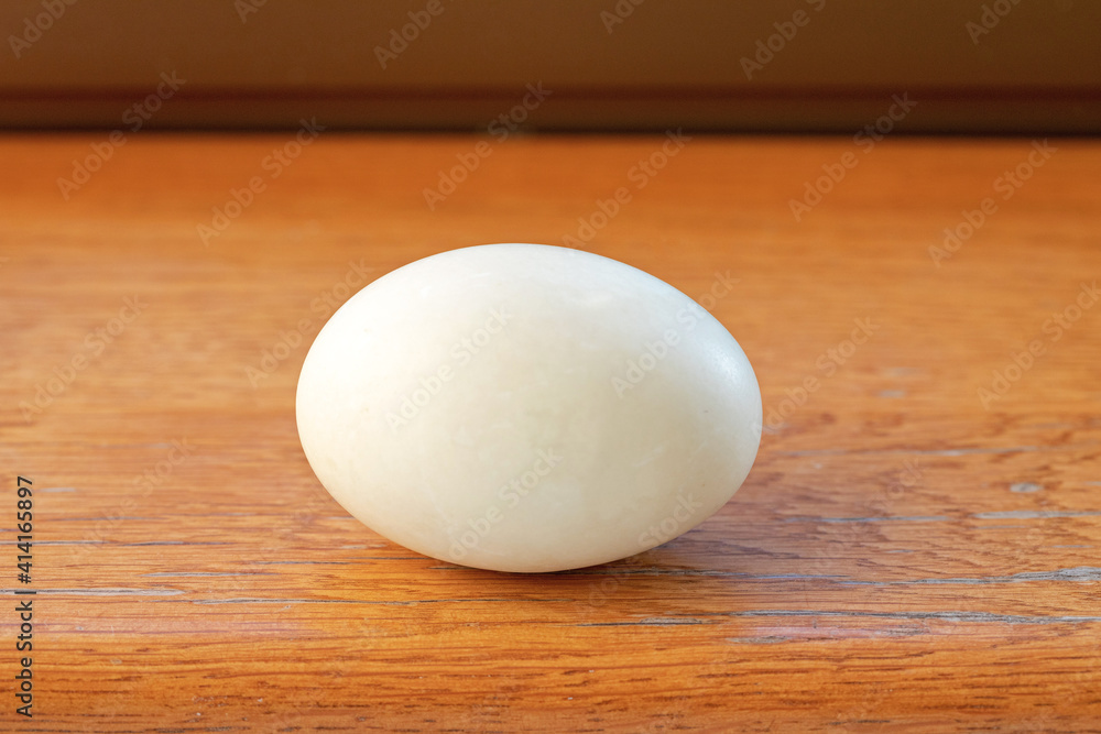 Duck Egg