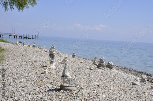 seagulls on the beach