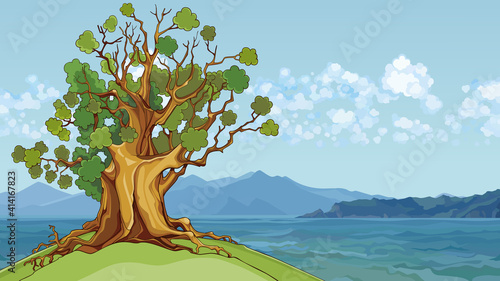 cartoon oak tree growing on a hill by the sea