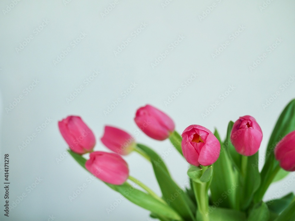 Bouquet pink tulips in glass vase stands on table on gray background. Easter day, March 8, women's day, birthday, gift, flowers for woman. Easter and spring greeting card Floristry Florist