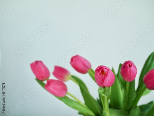 Bouquet pink tulips in glass vase stands on table on gray background. Easter day, March 8, women's day, birthday, gift, flowers for woman. Easter and spring greeting card Floristry Florist