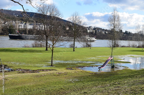 Rheinwiesen auf dem Oberwerth nach dem Hochwasser photo