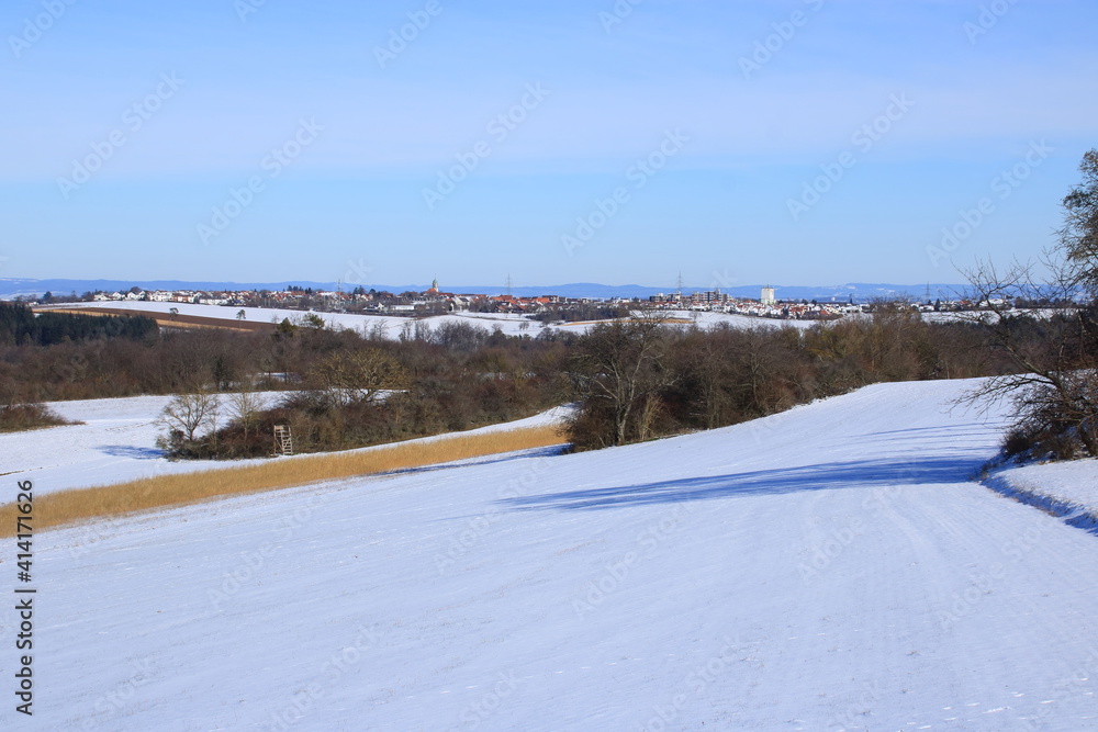 Blick über Wiesen und Felder auf die Gemeinde Heimerdingen im Winter