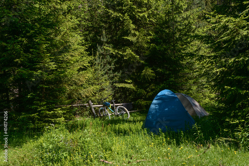 Tent and bicycle in the forest camping 