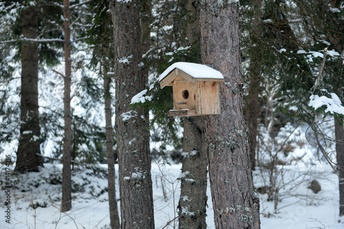 Bird house on tree winter 