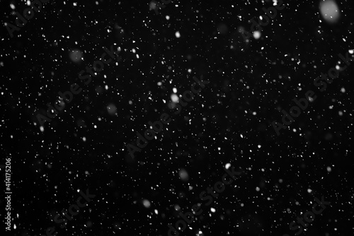 Real snow falls on black background  It is snowing  Ideal for blend layer screen add